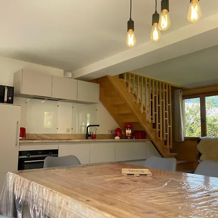 Renove Spacieux Pres Des Commerces, A 200m Du Village Et Du Lac, Navette Ski-bus Gratuite - Fr-1-624-118