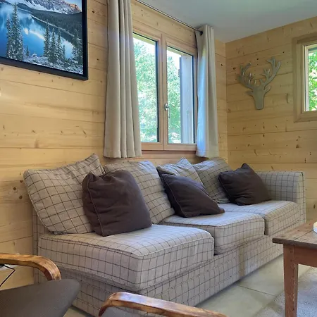 Chalet Renove Spacieux Pres Des Commerces, A 200m Du Village Et Du Lac, Navette Ski-bus Gratuite - Fr-1-624-118